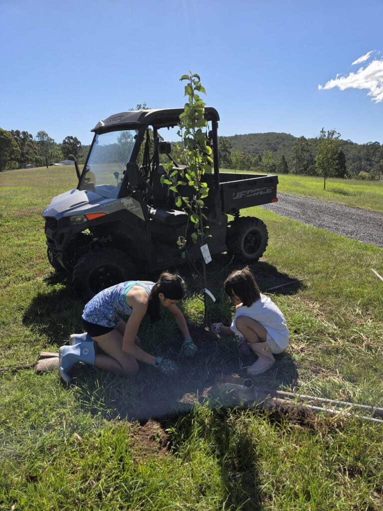Planting trees
